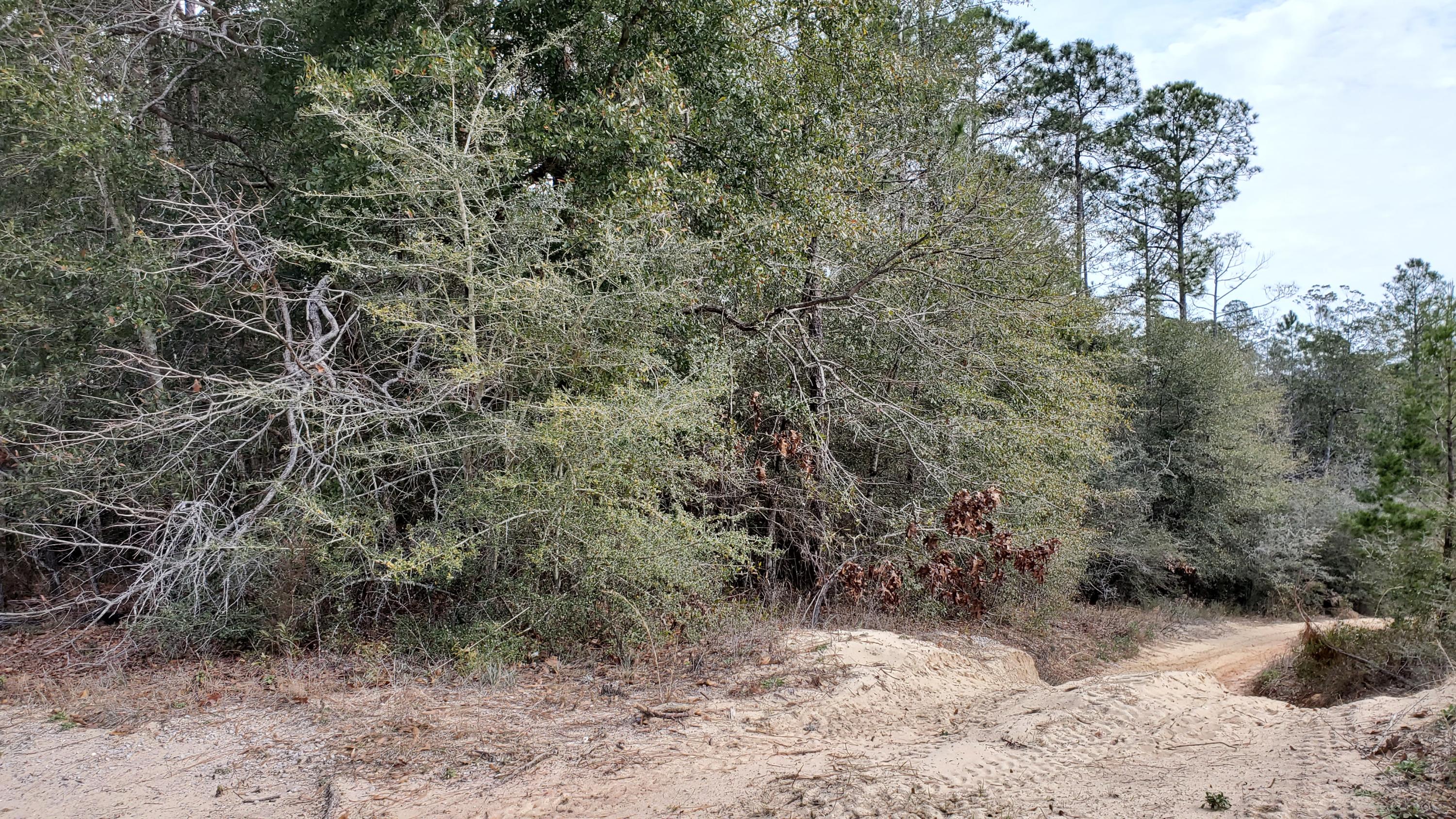 TRIPLE LAKES ESTATES - Land