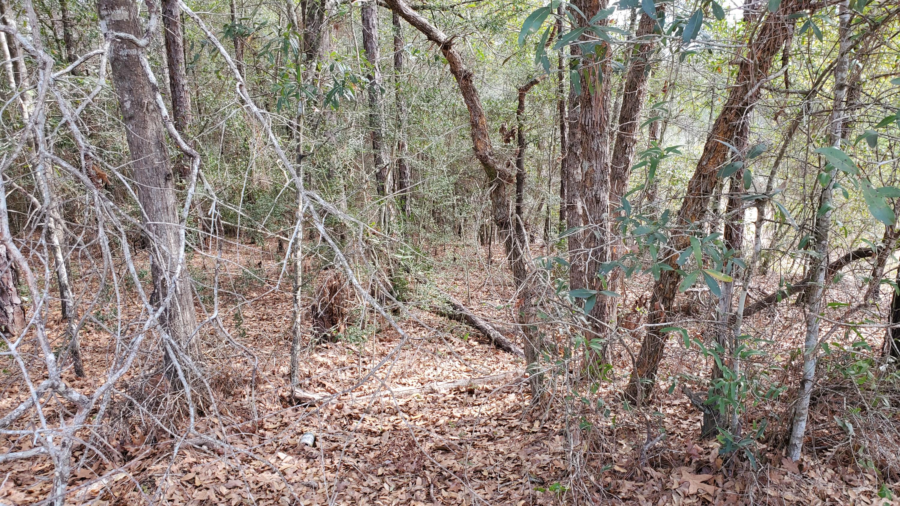 TRIPLE LAKES ESTATES - Land