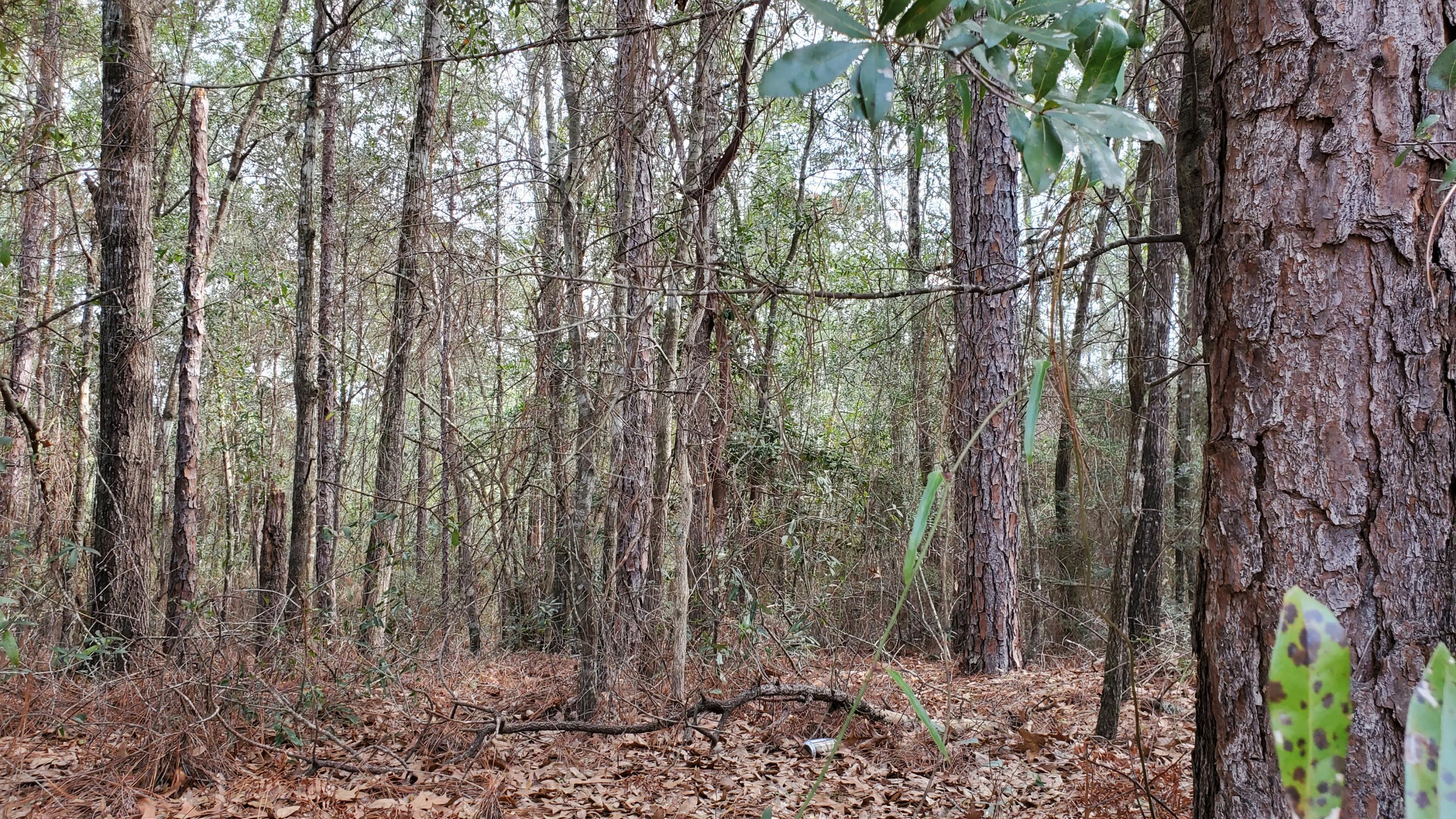 TRIPLE LAKES ESTATES - Land