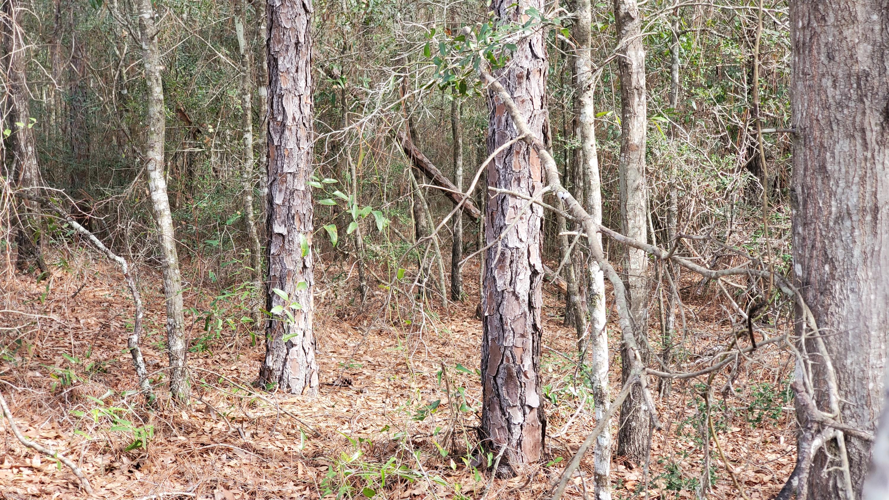 TRIPLE LAKES ESTATES - Land