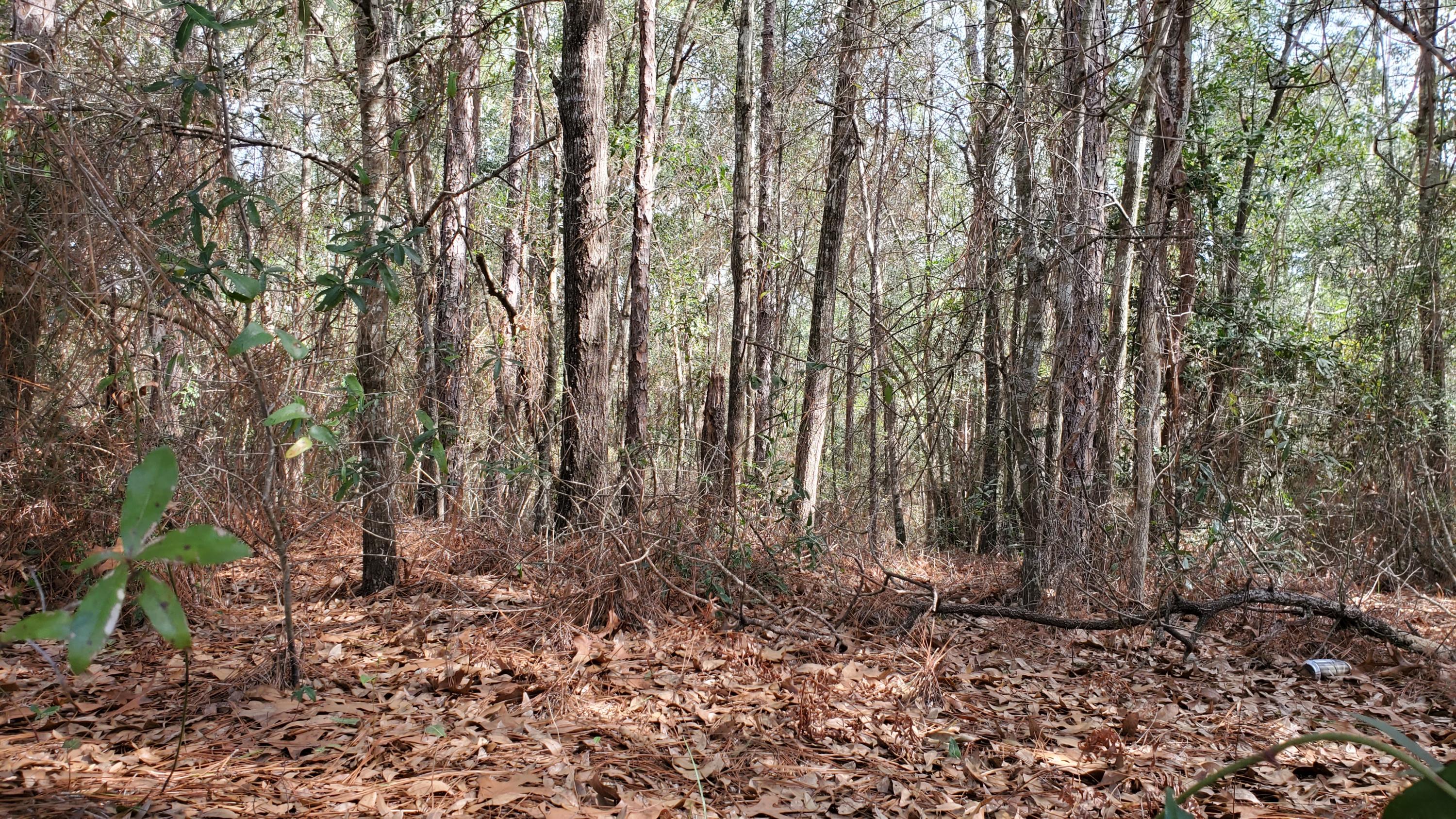 TRIPLE LAKES ESTATES - Land