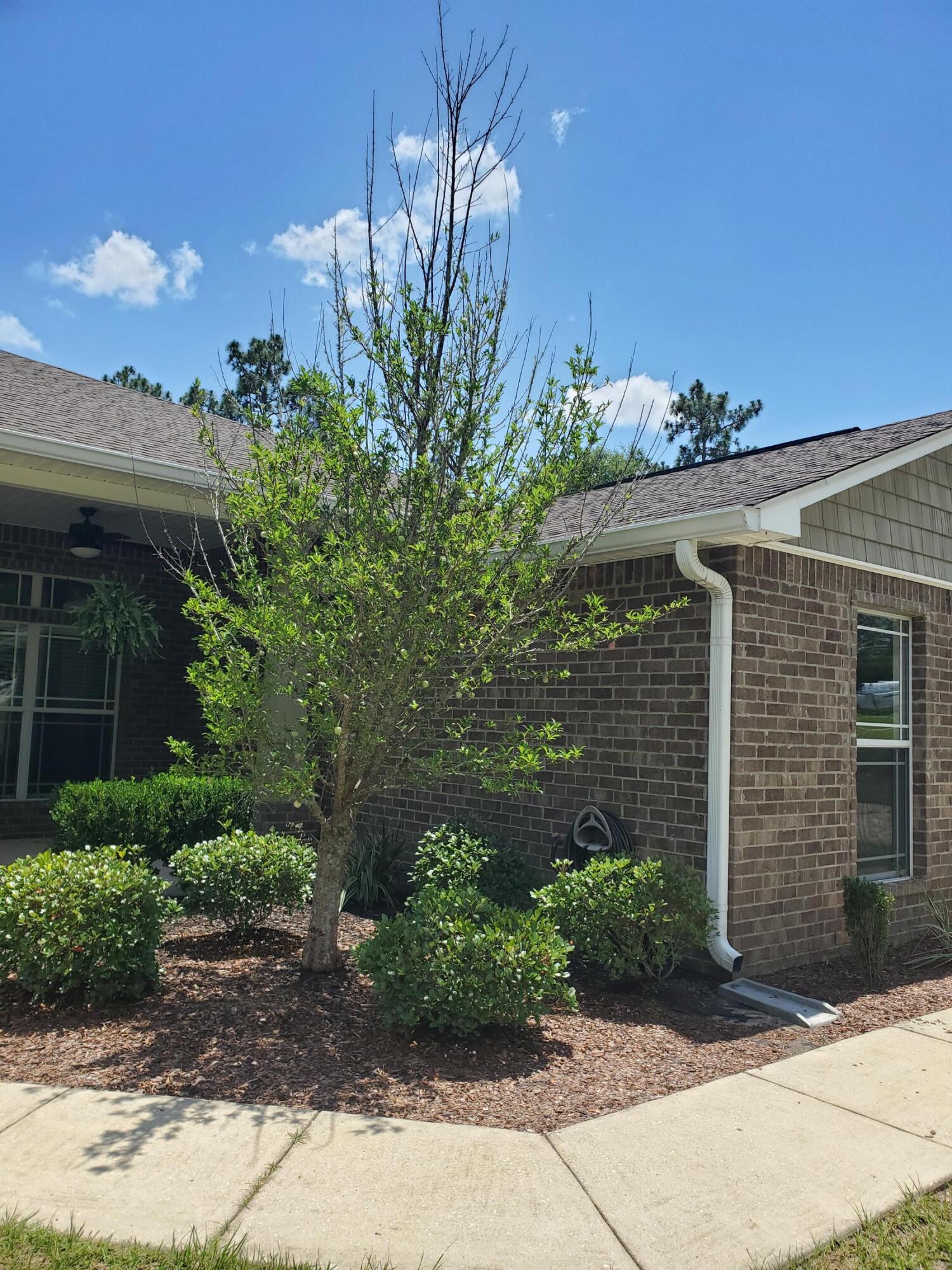 Yellow River Plantation - Residential