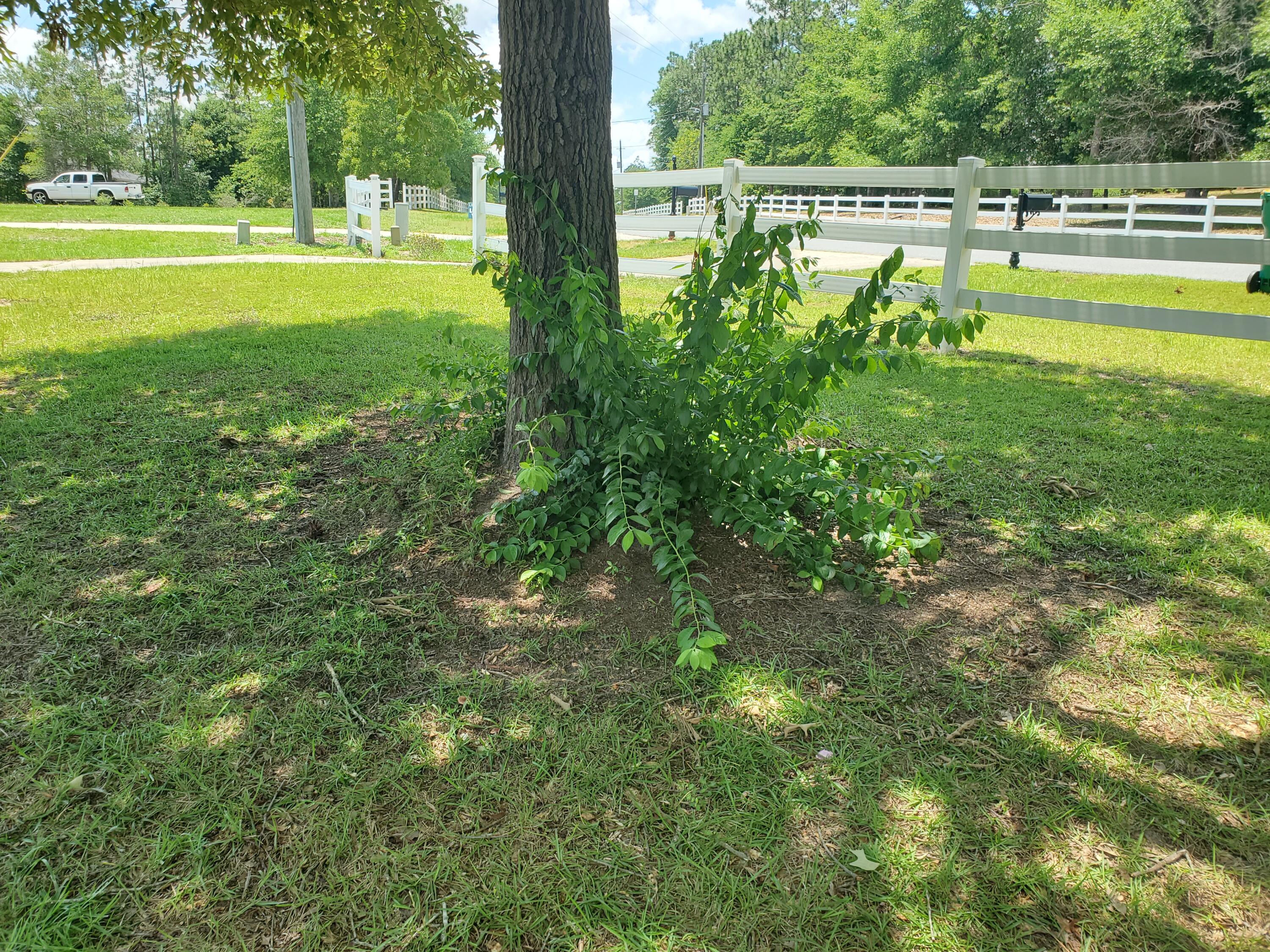 Yellow River Plantation - Residential