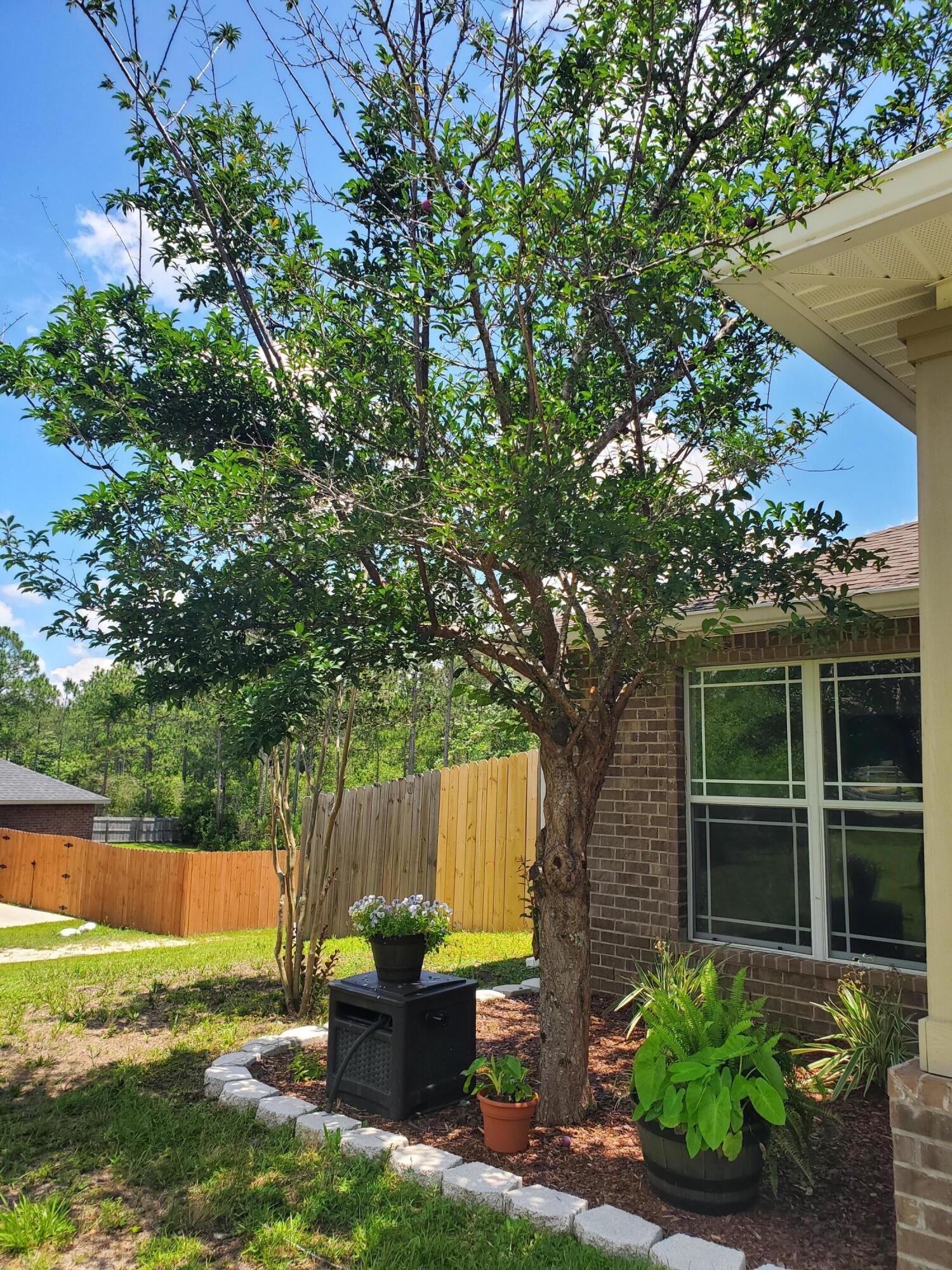 Yellow River Plantation - Residential