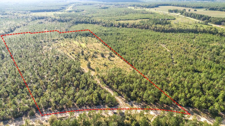 Get ready to build your dream and get close to nature in this Amazing Gated Sportsmen Community!! This 31.5 acres+- is high and dry, good hunting land, and close for electric access. Located not far from the main gate this acreage is great for someone that doesn't want to have to drive in far to access their personal piece of Plantation Paradise.