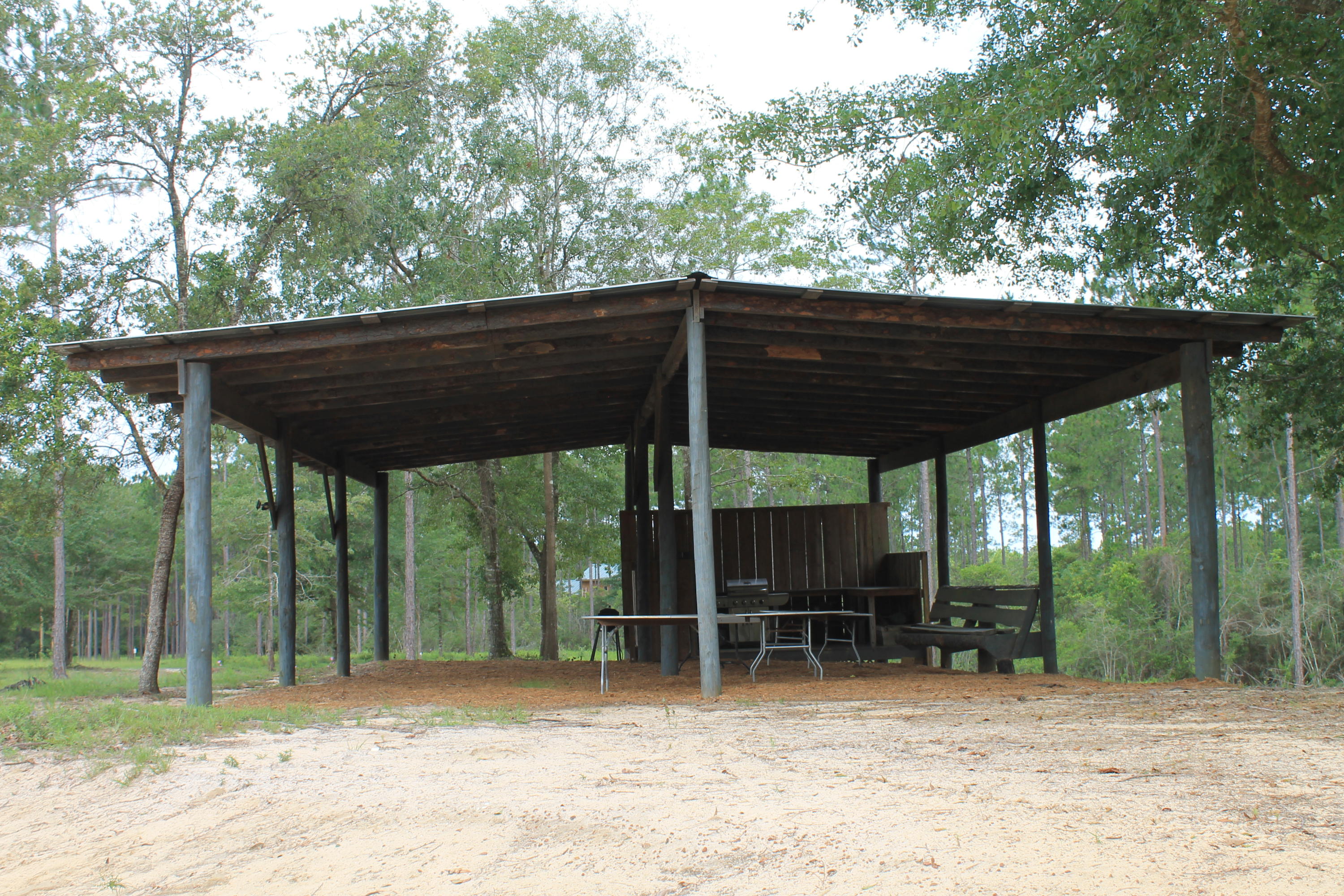 WALTON PLANTATION - Farm