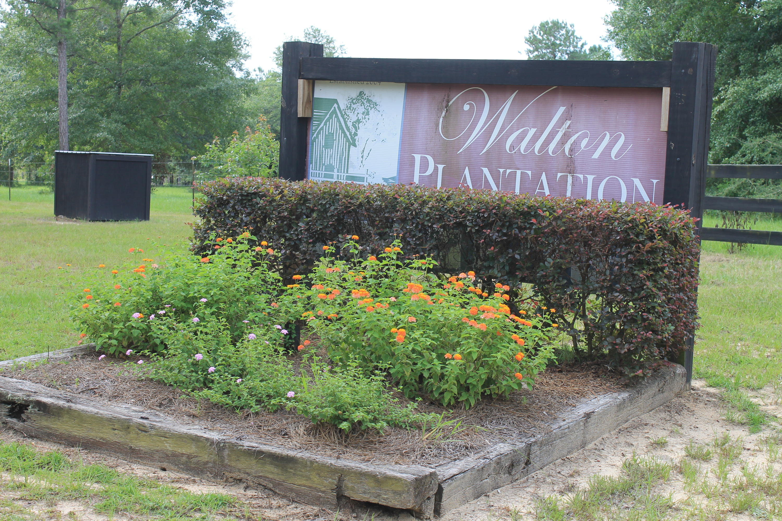 WALTON PLANTATION - Farm