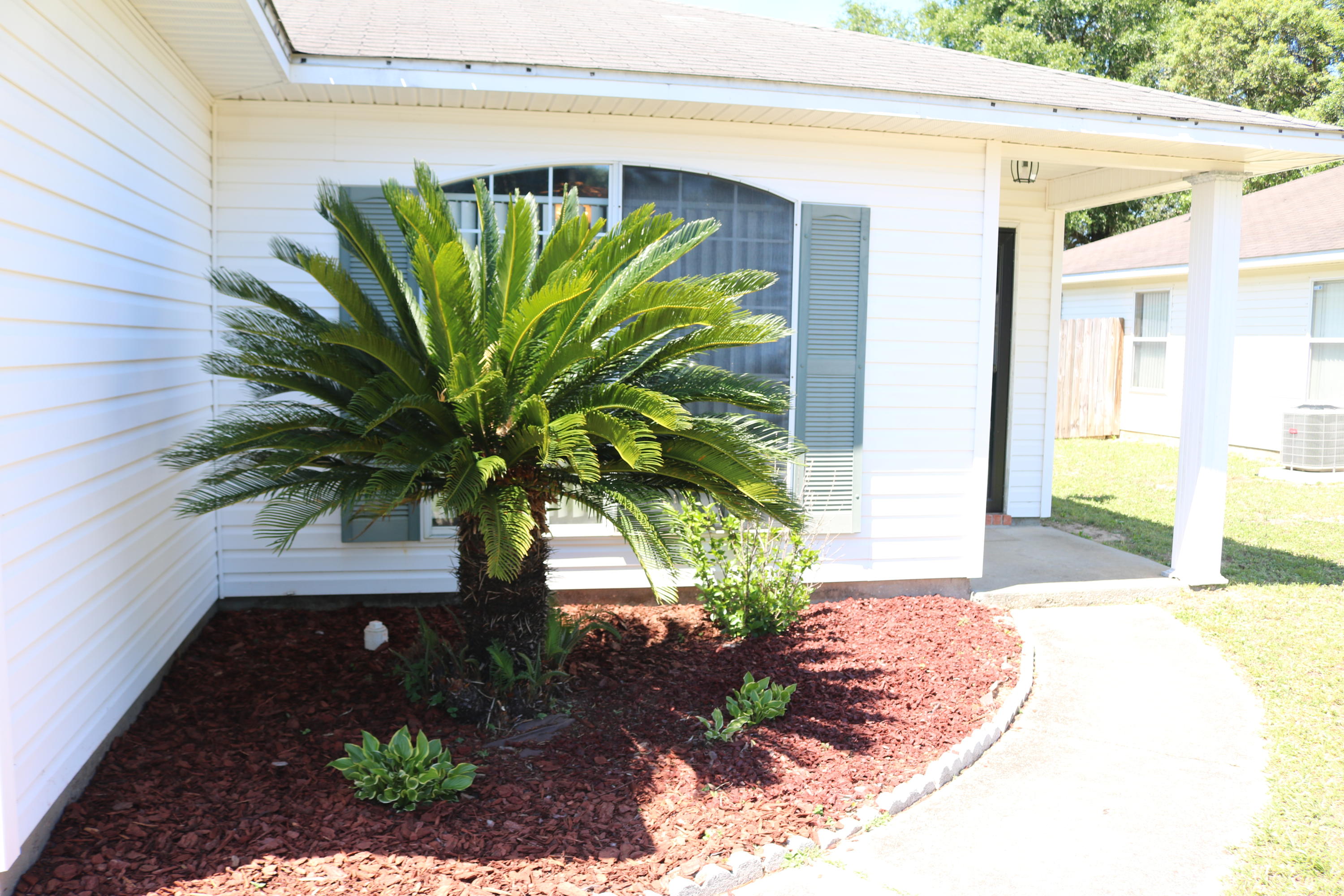 SPRINGDALE FOREST PH 1 - Residential