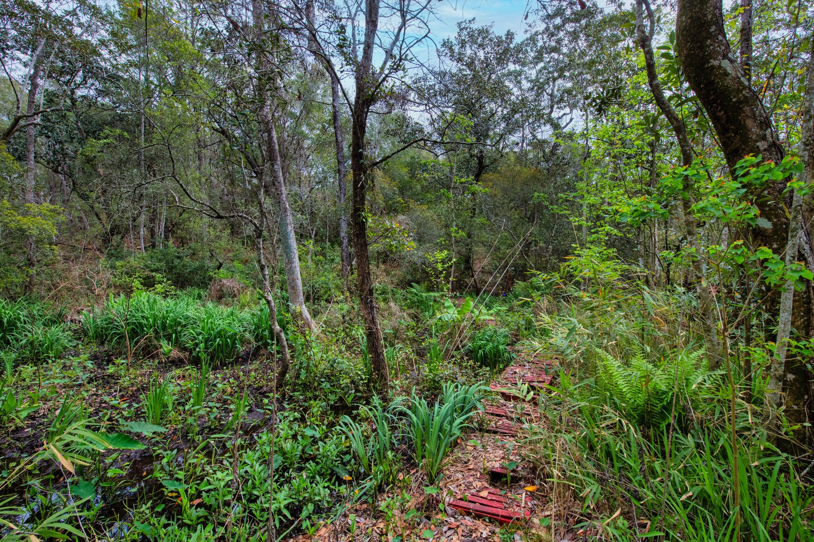 HUNTINGTON PH II S/D LOT 15 BLK A - Residential