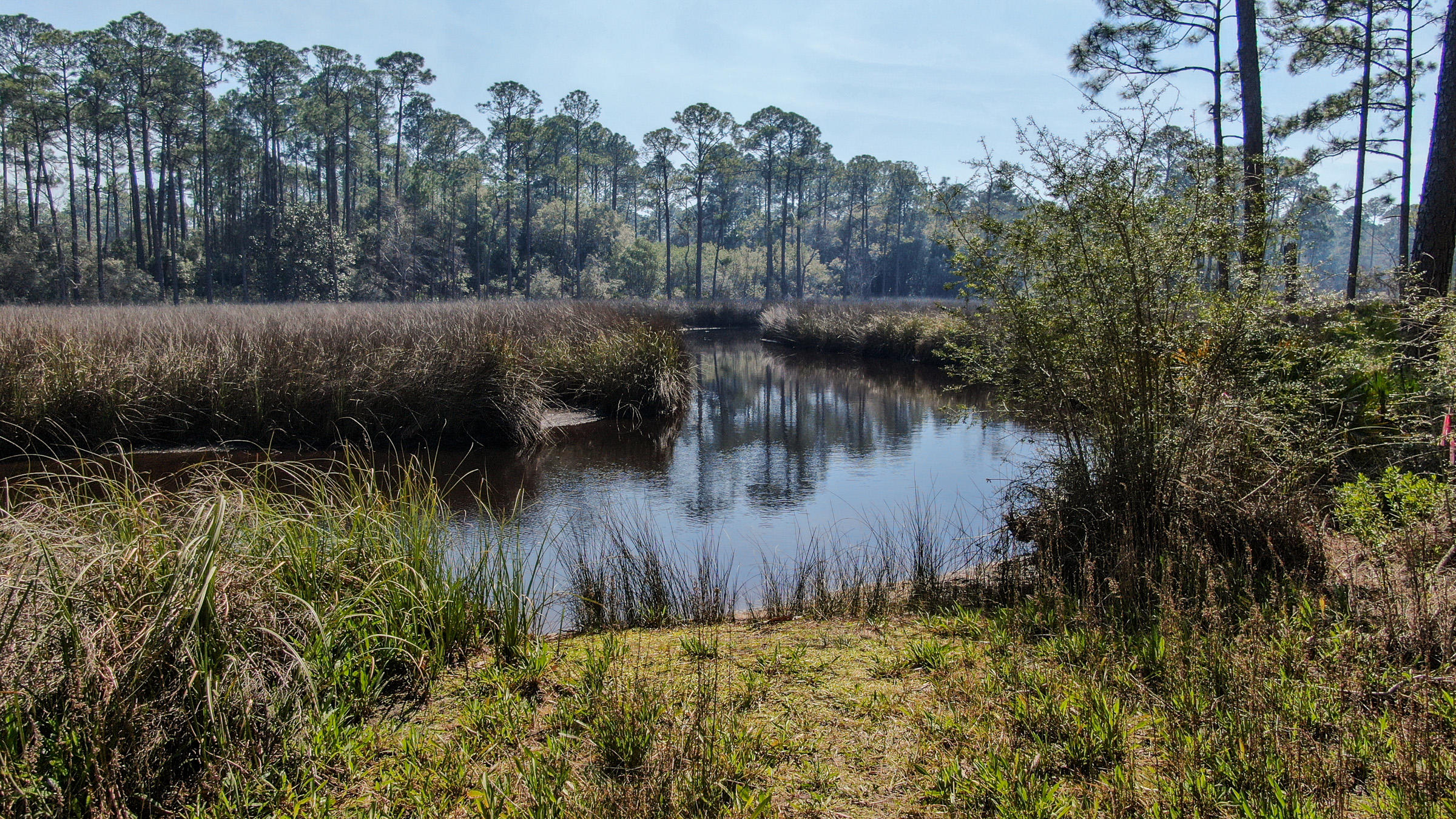 BAY PINES - Residential