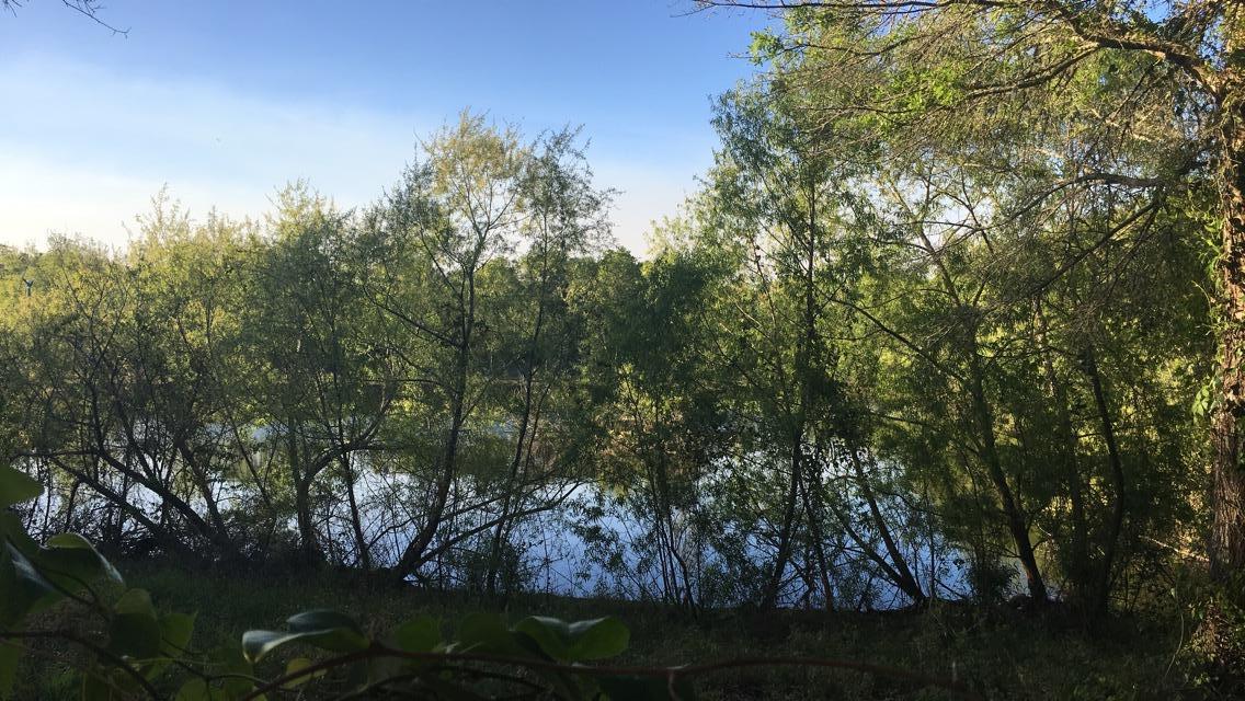 SHANGRA WOODS - Residential