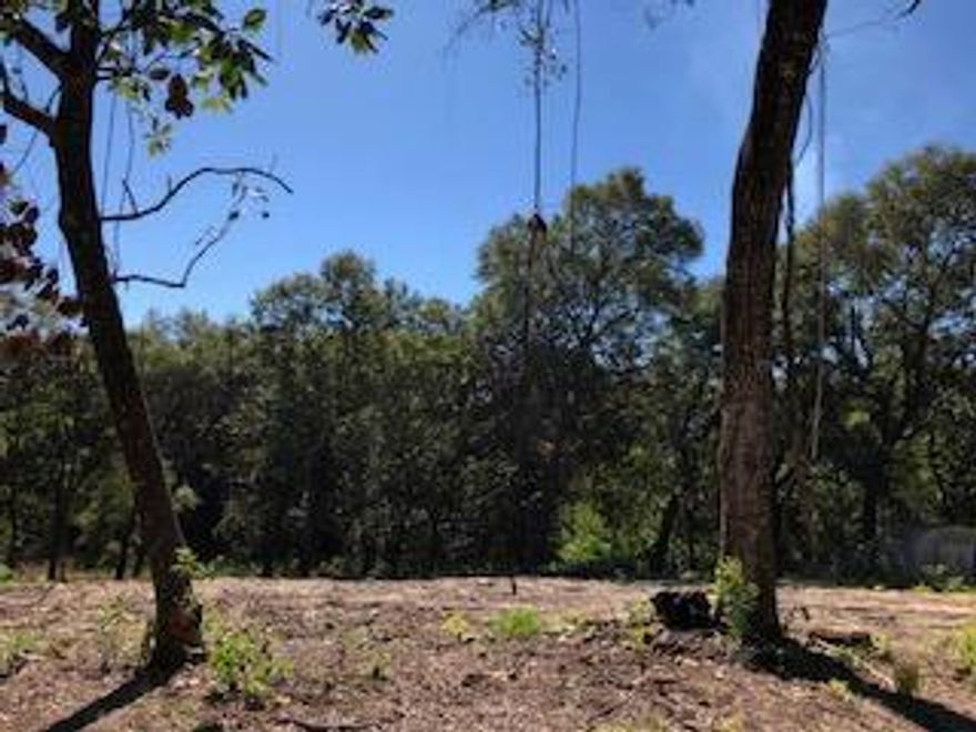 Great lot for any buyer looking to build. Seller has cleared the lot, secured septic tank permits, and has new survey on hand. Wetlands Assessment letter also avail. Lot spreads beyond the wetlands and most of it is high and dry. Initial building plans were for a 2800 sq foot 2 story walkout. Mature trees, Privacy and easy access to the water. Boat ramp is just a block away. Nice neighborhood, no HOA, close to churches, schools, shopping and restaurants. The one next door is also for sale. Get a deal for both!