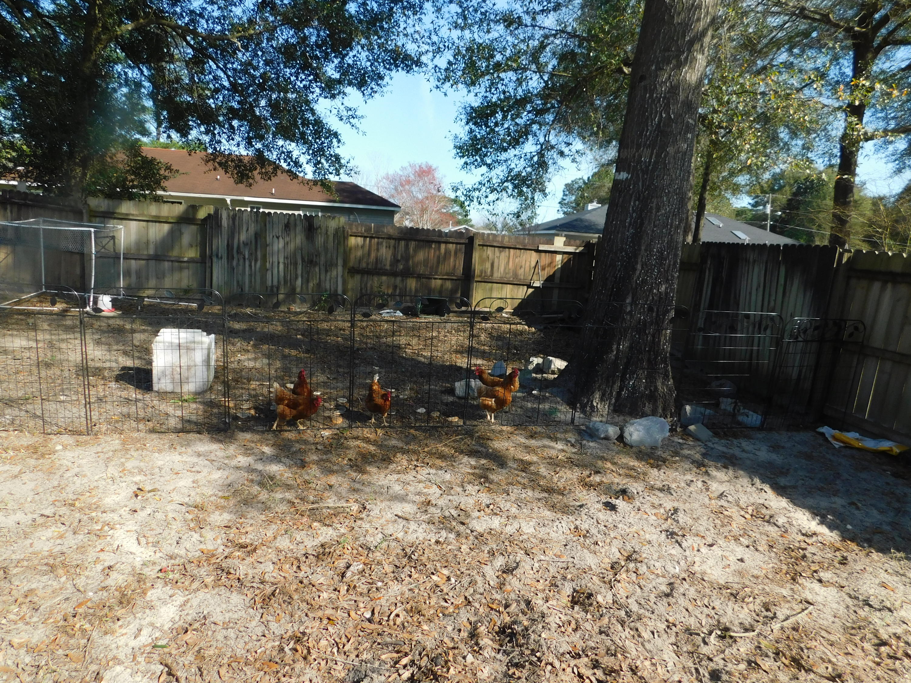 Winding Creek Estates PH II - Residential