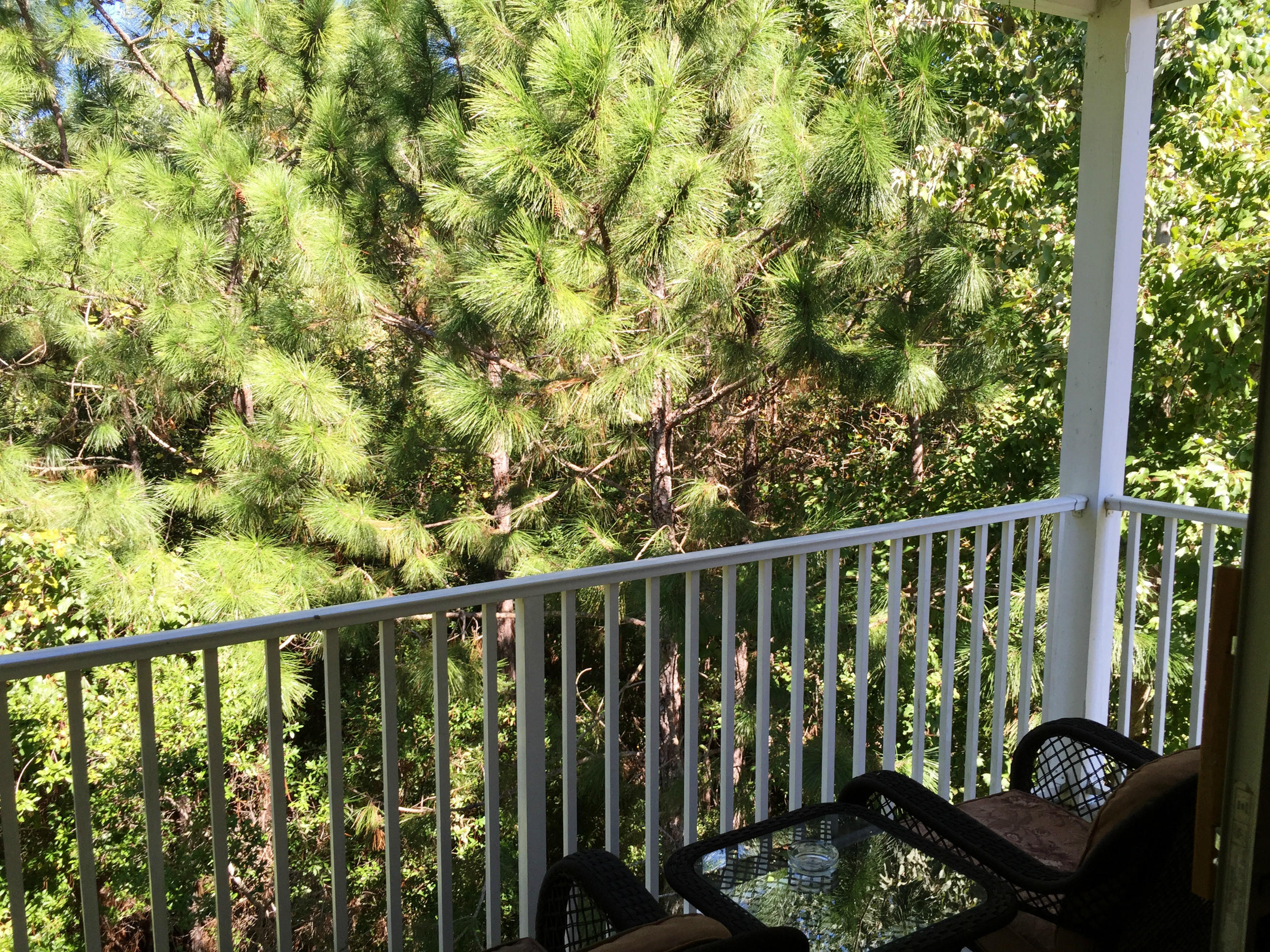 POINTE OF VIEW CONDO - Residential