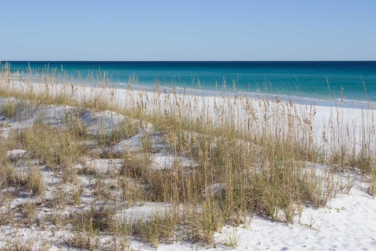 AVALON BEACH ESTATES - Residential