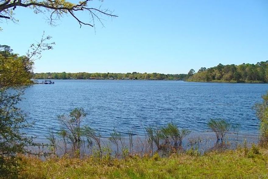 WATERFRONT ACREAGE ON KINGS LAKE -- This is a wooded 3.28 acre lot that slopes gently down to a fantastic view of beautiful Kings Lake. Suitable for a mobile home or build your dream home on this fantastic fishing lake full of brim, crappie and bass. Located on a paved road. Lot has recently undergone a legal lot split with Walton County, has been surveyed, and new survey is in the file, so buyer will save the cost of getting a survey. Land Use Designation is ''Rural Village''