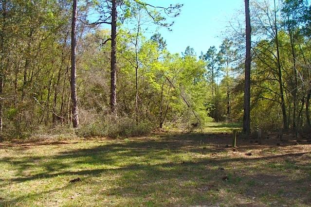 HOLLEY FAMILY PH 1 - Land