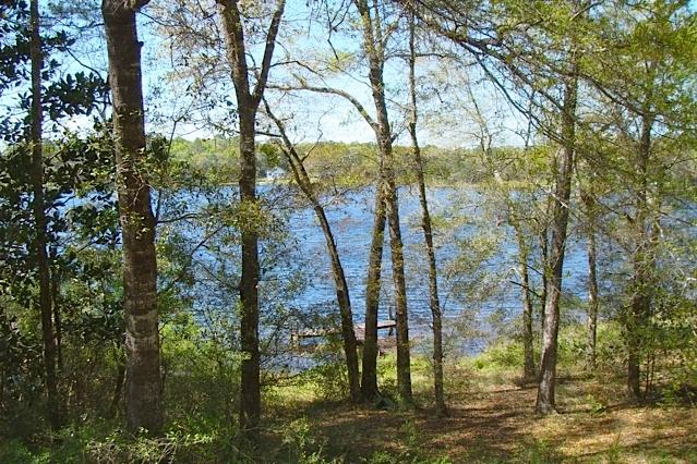 HOLLEY FAMILY PH 1 - Land