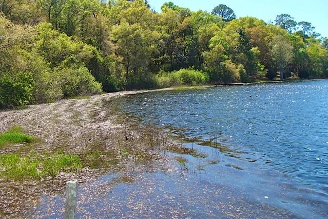 HOLLEY FAMILY PH 1 - Land