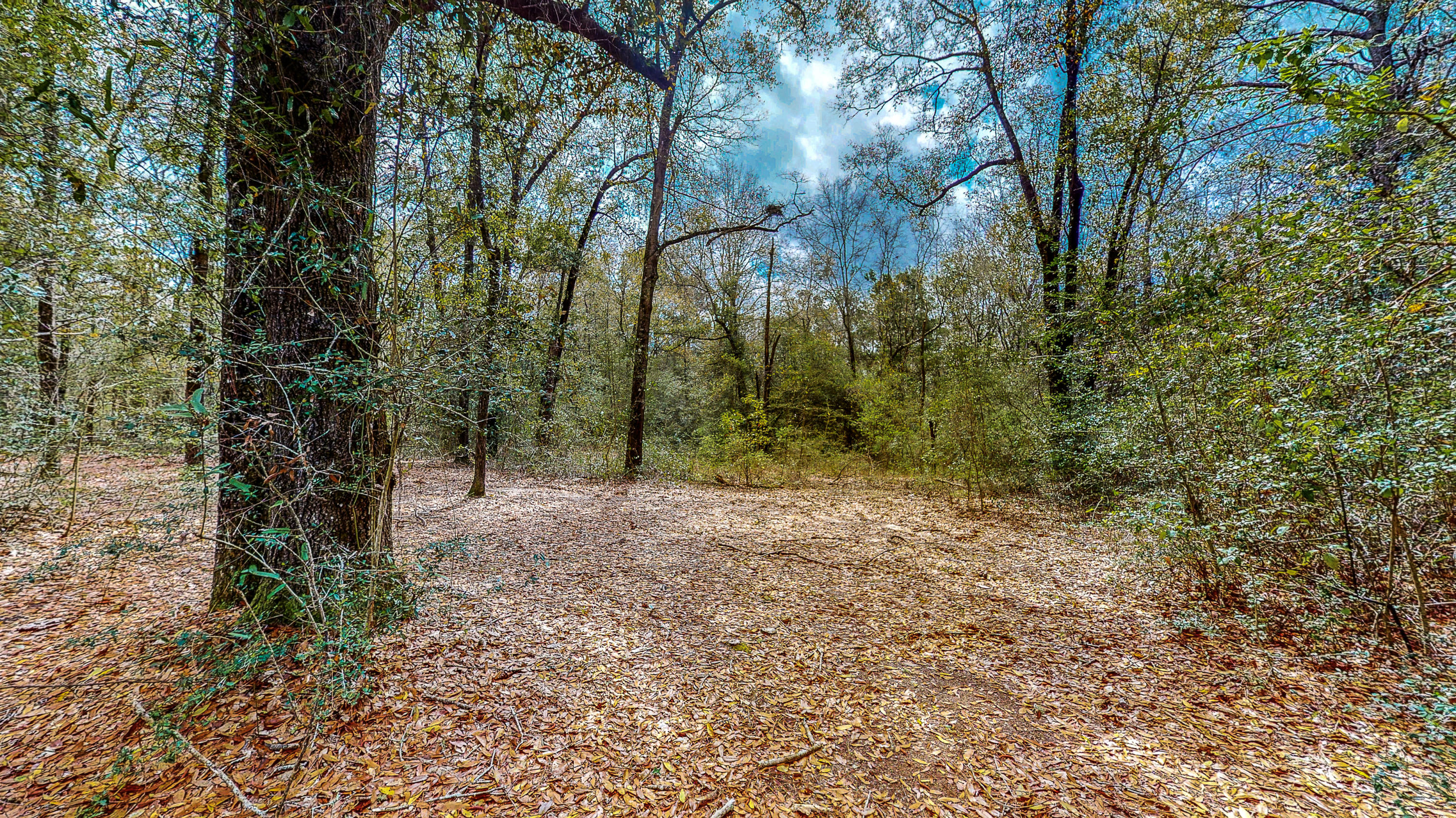 METES & BOUNDS - Residential Lease