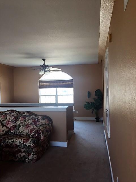 VILLAGE AT NAVARRE - Residential