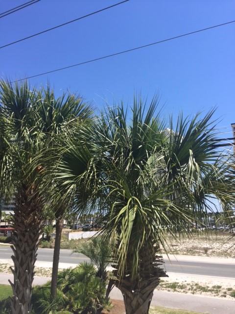 VILLAGE AT NAVARRE - Residential