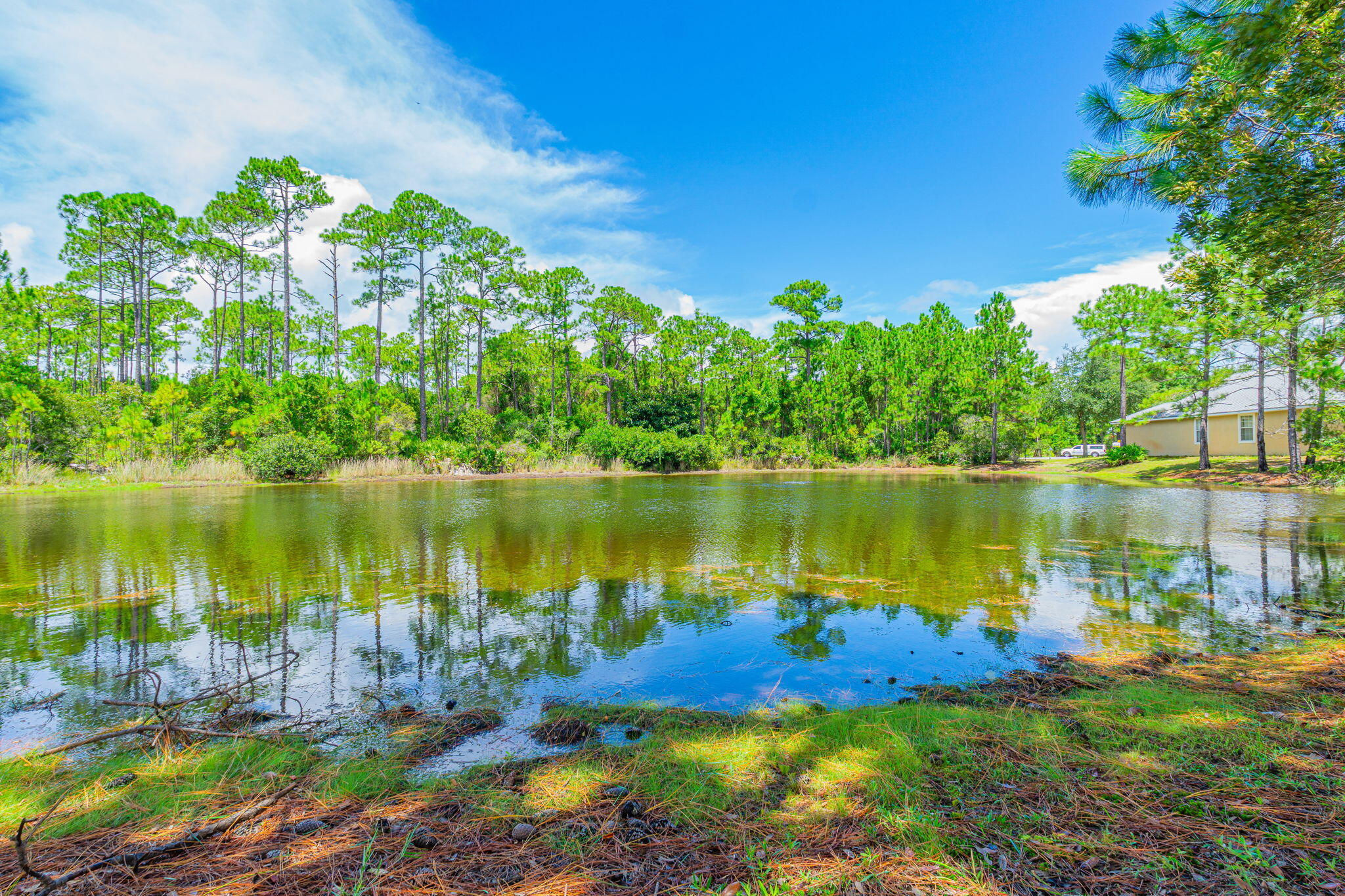DRIFTWOOD ESTATES - Residential