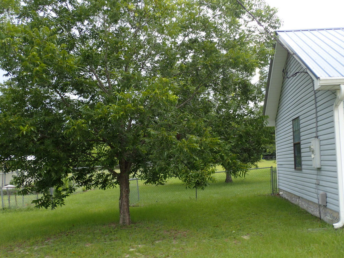 HARVEST HILL PH 3 - Residential