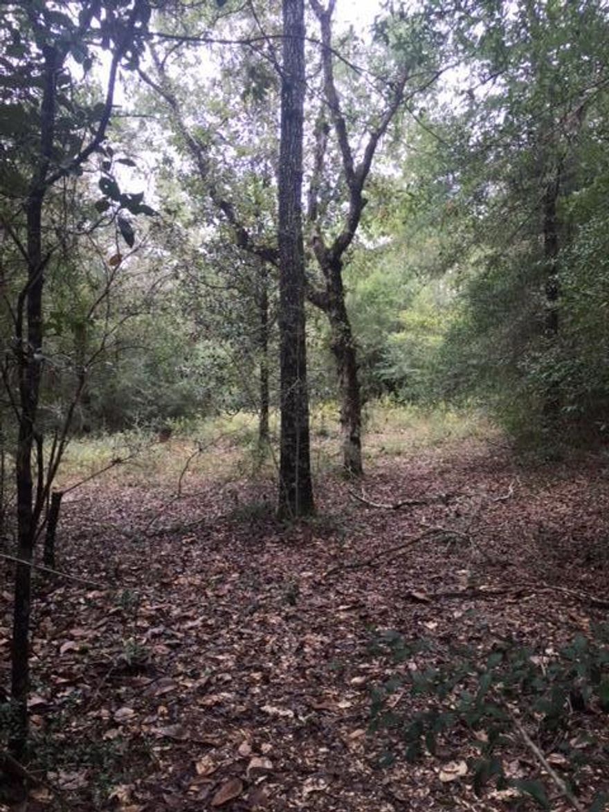 Build your DREAM HOME on this 5.83 acre parcel! This beautiful wooded property has approximately two acres perfect to build the estate of your dreams!! Surrounded by other beautiful homes, this property offers privacy, close to shopping, library and military bases. Covenants and restrictions, but no HOA fees