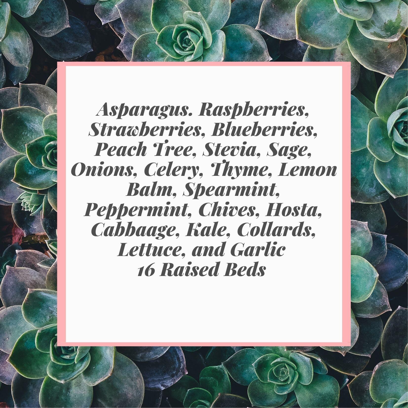 TRIPLE LAKES ESTATES - Residential