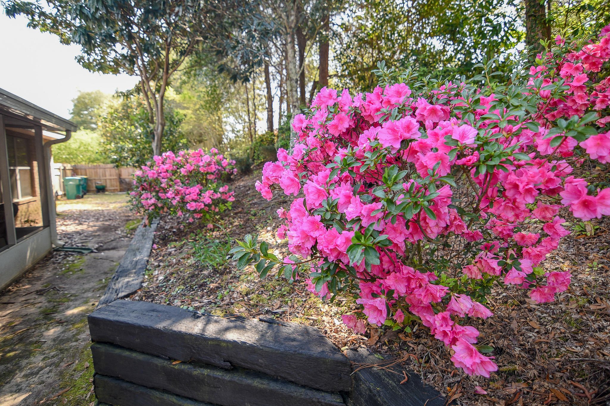 SILVER OAKS PH 1 - Residential