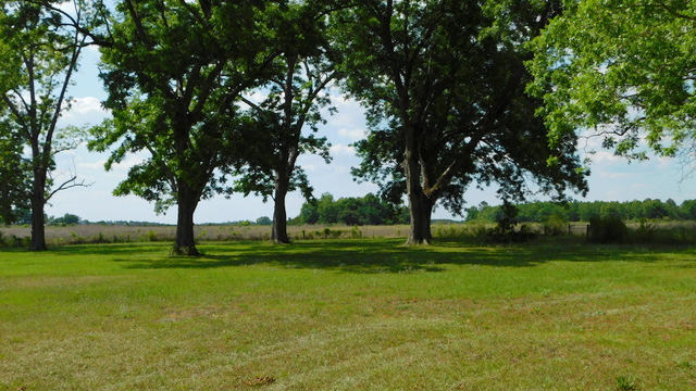 Metes and Bounds- 20 acres - Residential