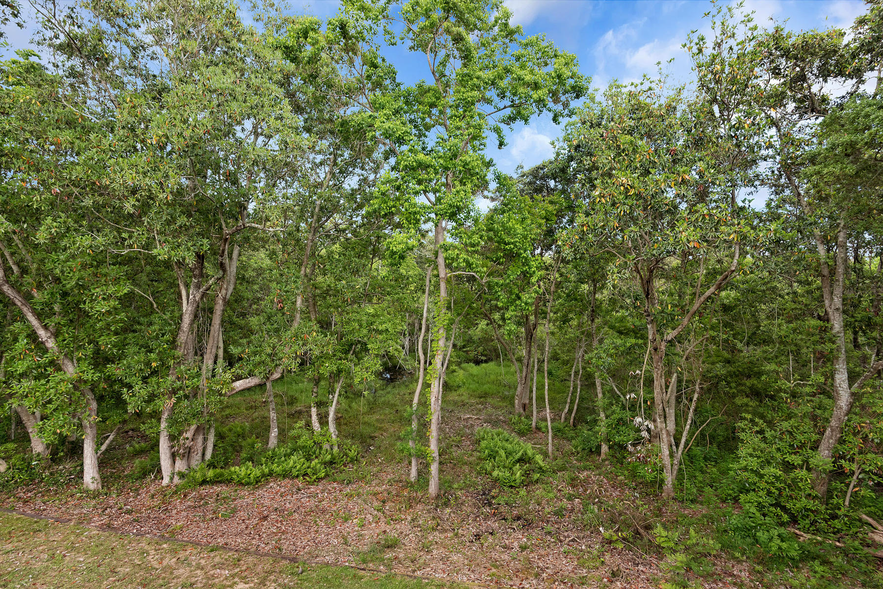LAKE LORRAINE GARDENS - Residential
