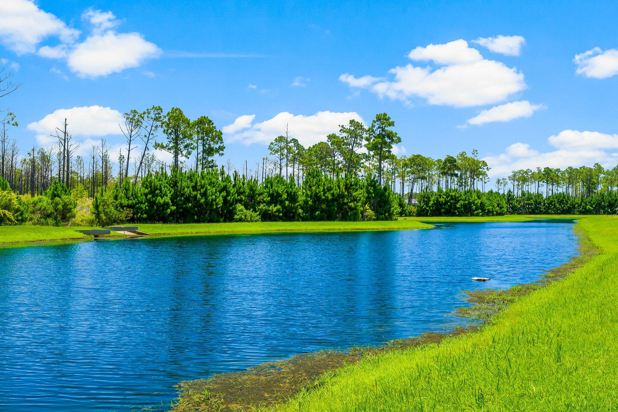 Breakfast Point - Residential