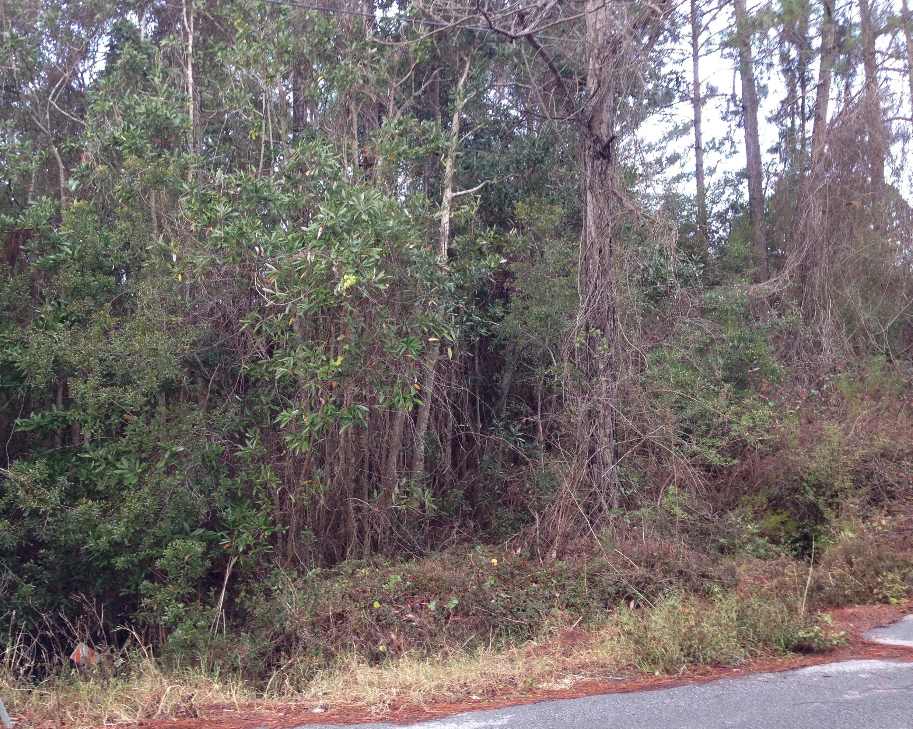 Seacrest Dr. Homesite - 158' x 142' Lot, No build out time or HOA. Take advantage of the small creek that runs thru the property for a private, woodedsetting for your home. County Beach Access right across the street. ***Buyer is responsible for personally verifying details about this property. Any information contained in this listing is believed to be accurate but is not guaranteed.***