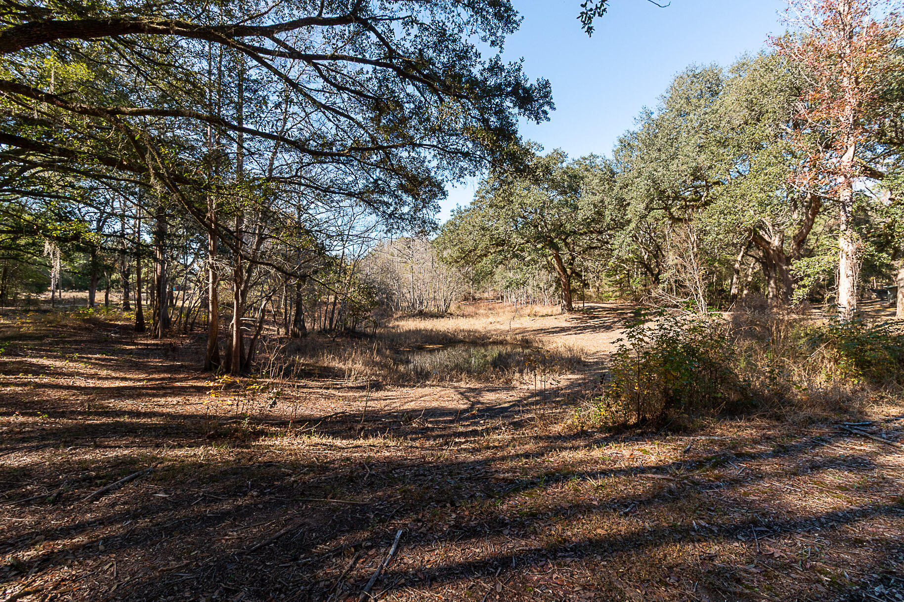 West Holmes County - Residential