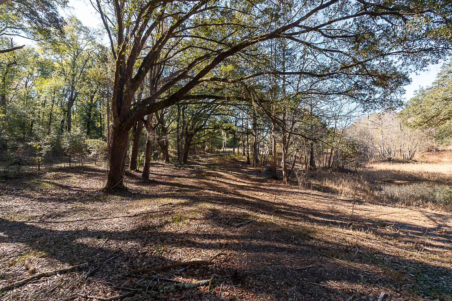 West Holmes County - Residential