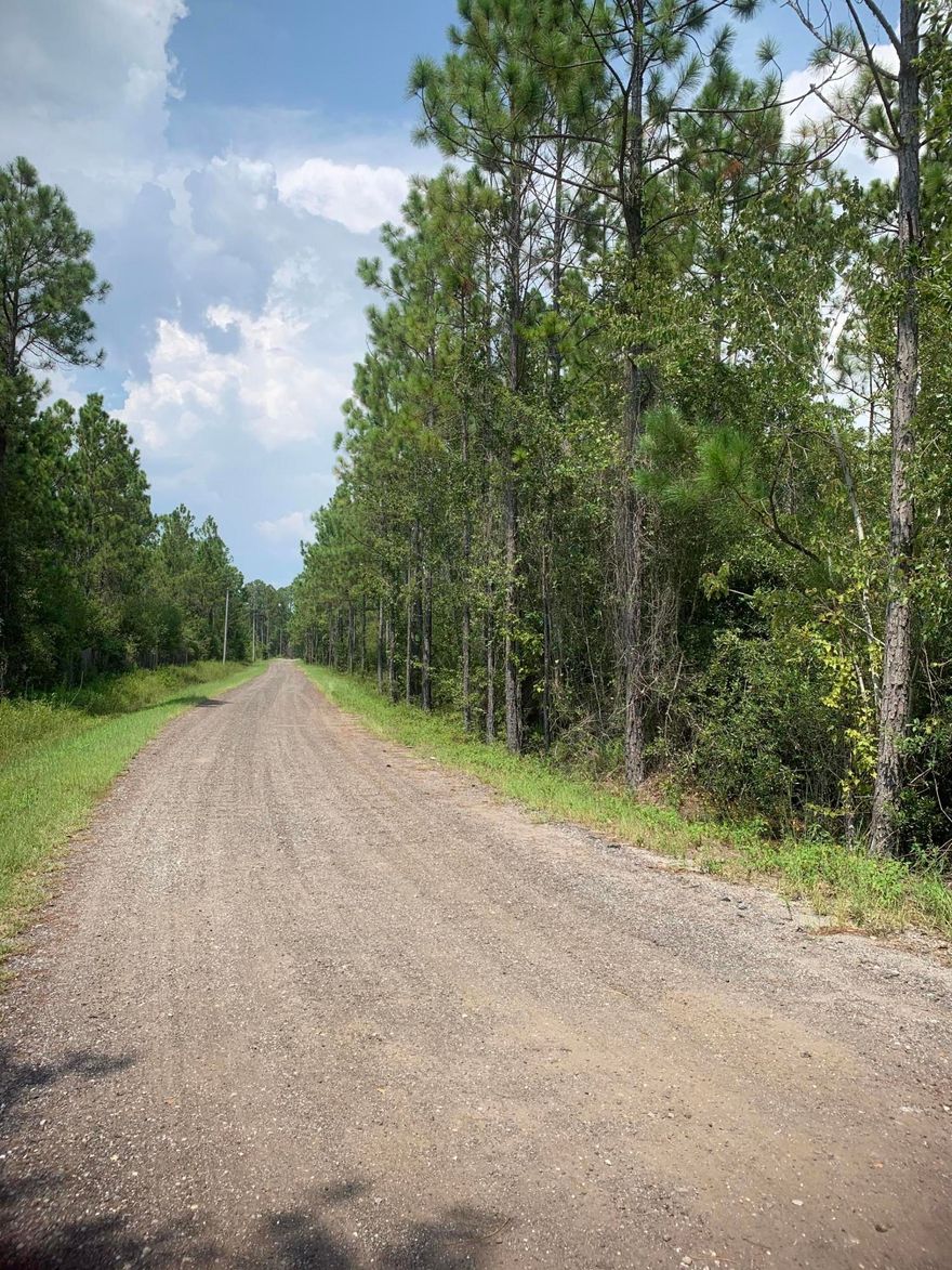 Lot is within walking distance to Choctawhatchee Bay. Tremendous potential for appreciation in fast growing area. Lot size taken from plat and to be verified by buyer.