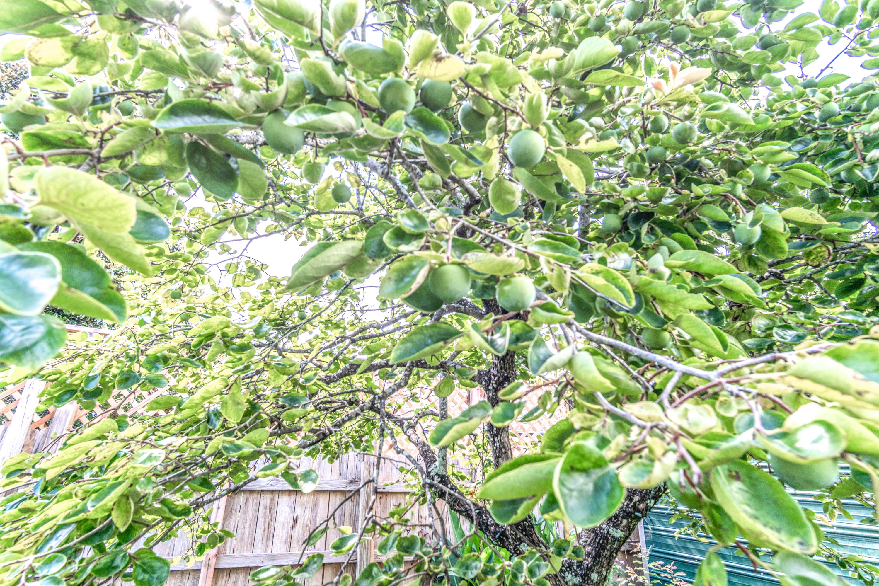 SEA HILLS 3RD - Residential