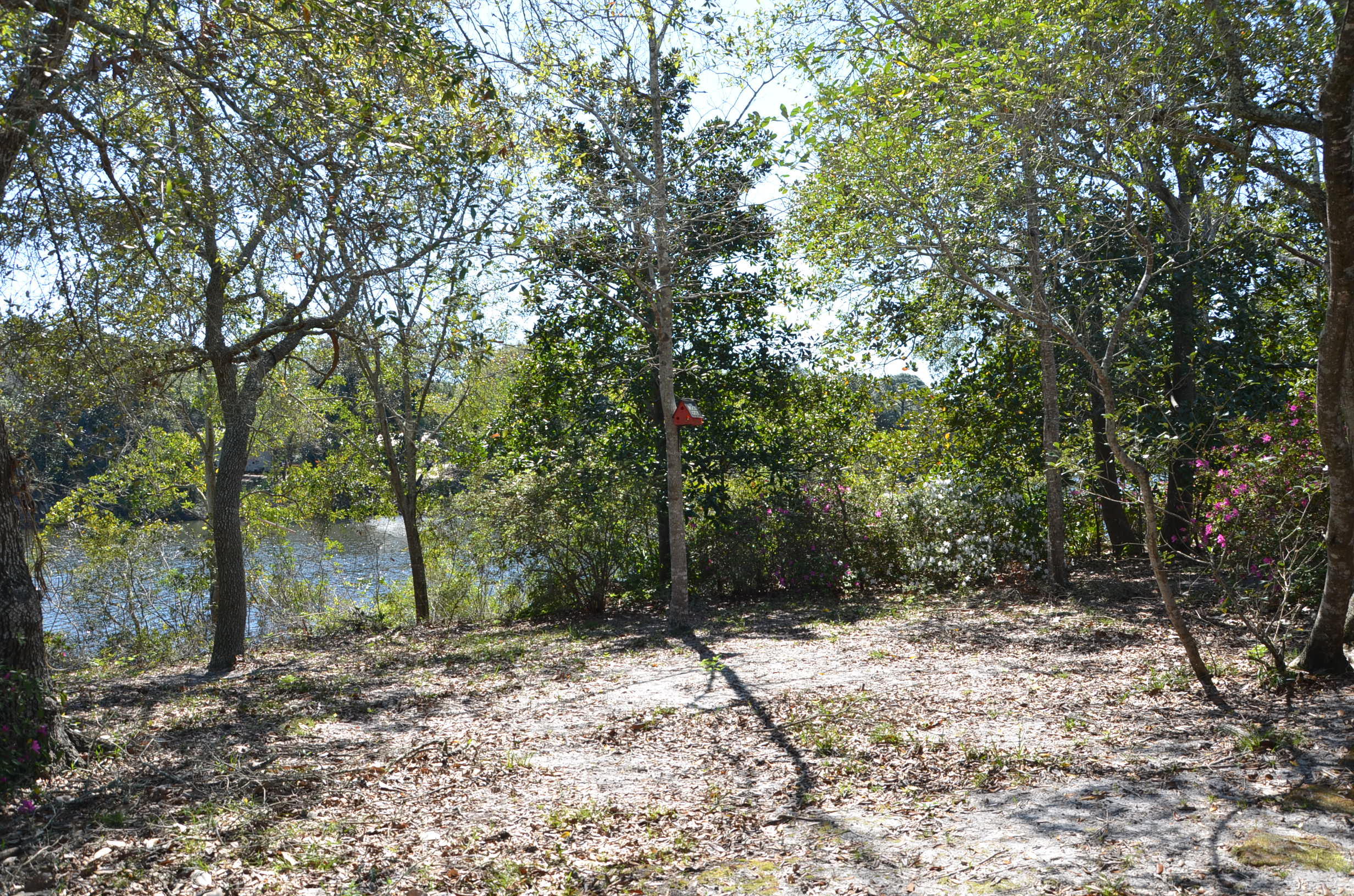 1st Spring Lake Add to Kelly Homes - Residential