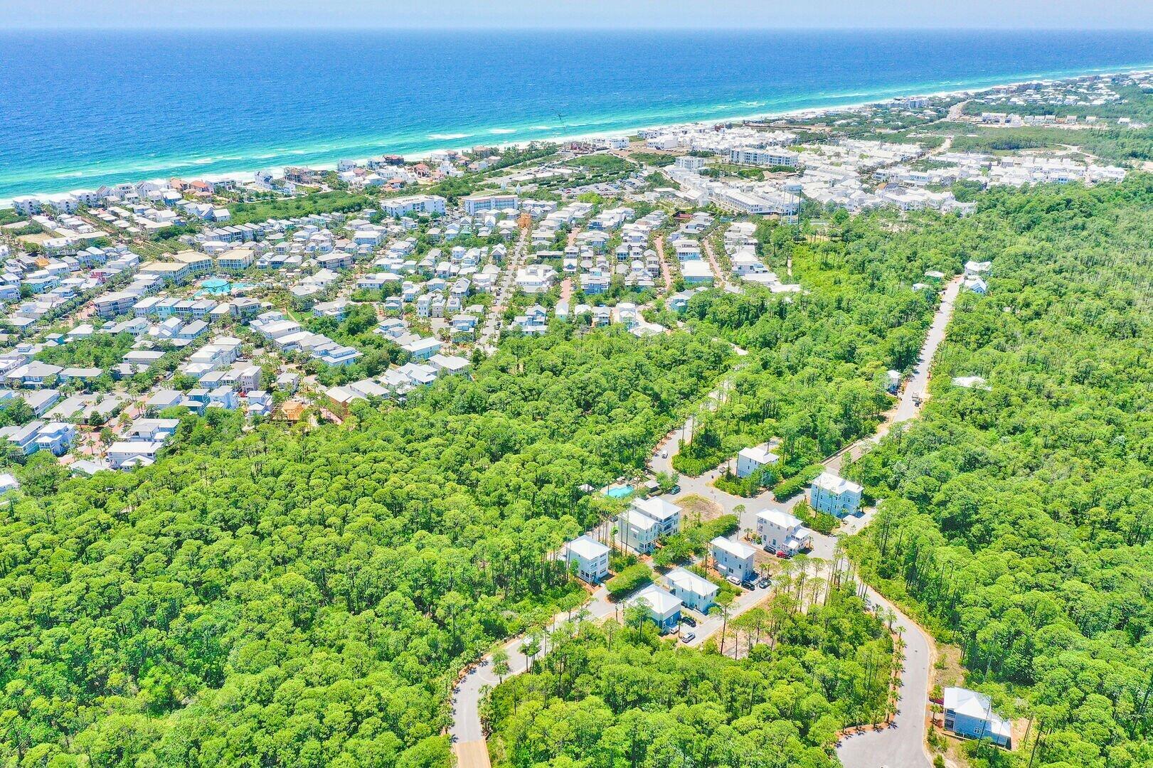 TreeTop - Residential