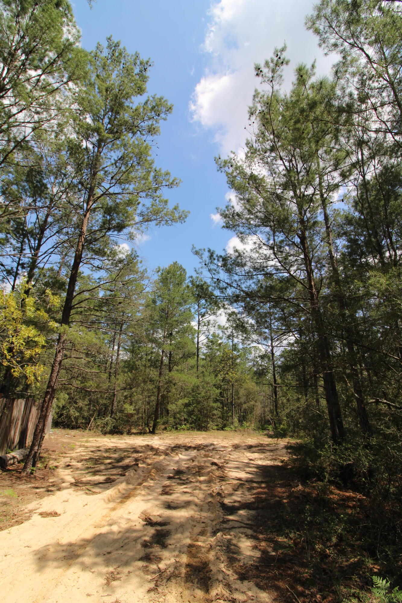 OAKWOOD HILLS - Land