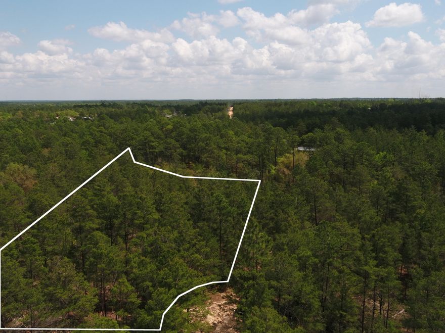 **Owner Financing Available!**This lot has an acre plus that is high and dry, on a cul-de-sac and has its own creek! Only 30 minutes to the beautiful white sands of the 30-A beaches, this lot was platted for two homes. Come build your dream home with plenty of acreage for outbuildings and/or a separate guest house or rental property! Or invest in this lot to build two, separate homes. Enjoy the serenity in this beautiful, peaceful area of Defuniak Spring's while only being 30-40 minutes from all of the dining and varied shopping and activities that 30-A, Miramar, Santa Rosa and San Destin beaches have to offer! The Wetland Deliniation Report is available; four-wheel drive is needed to get to the end of the street.