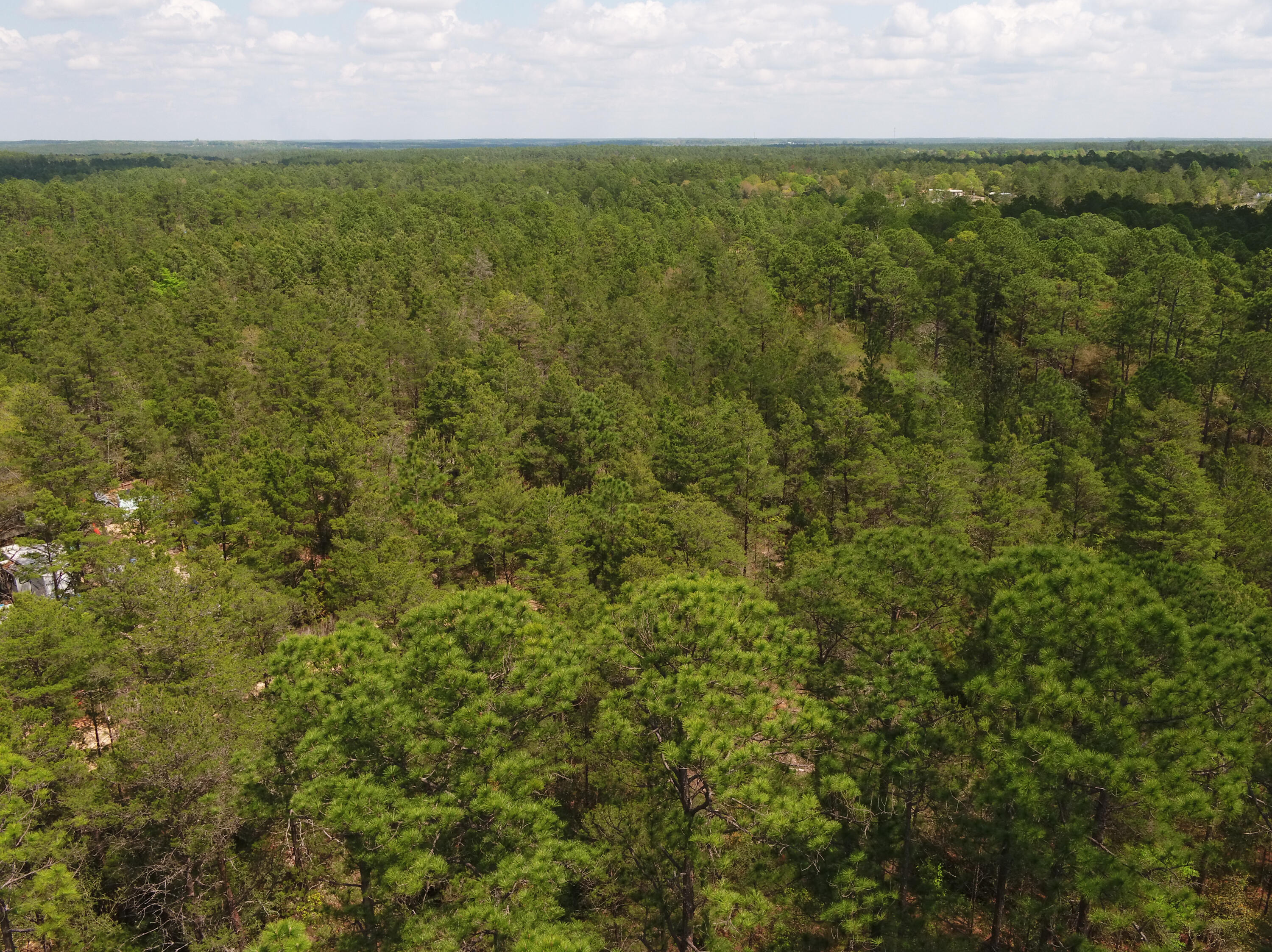 OAKWOOD HILLS - Land