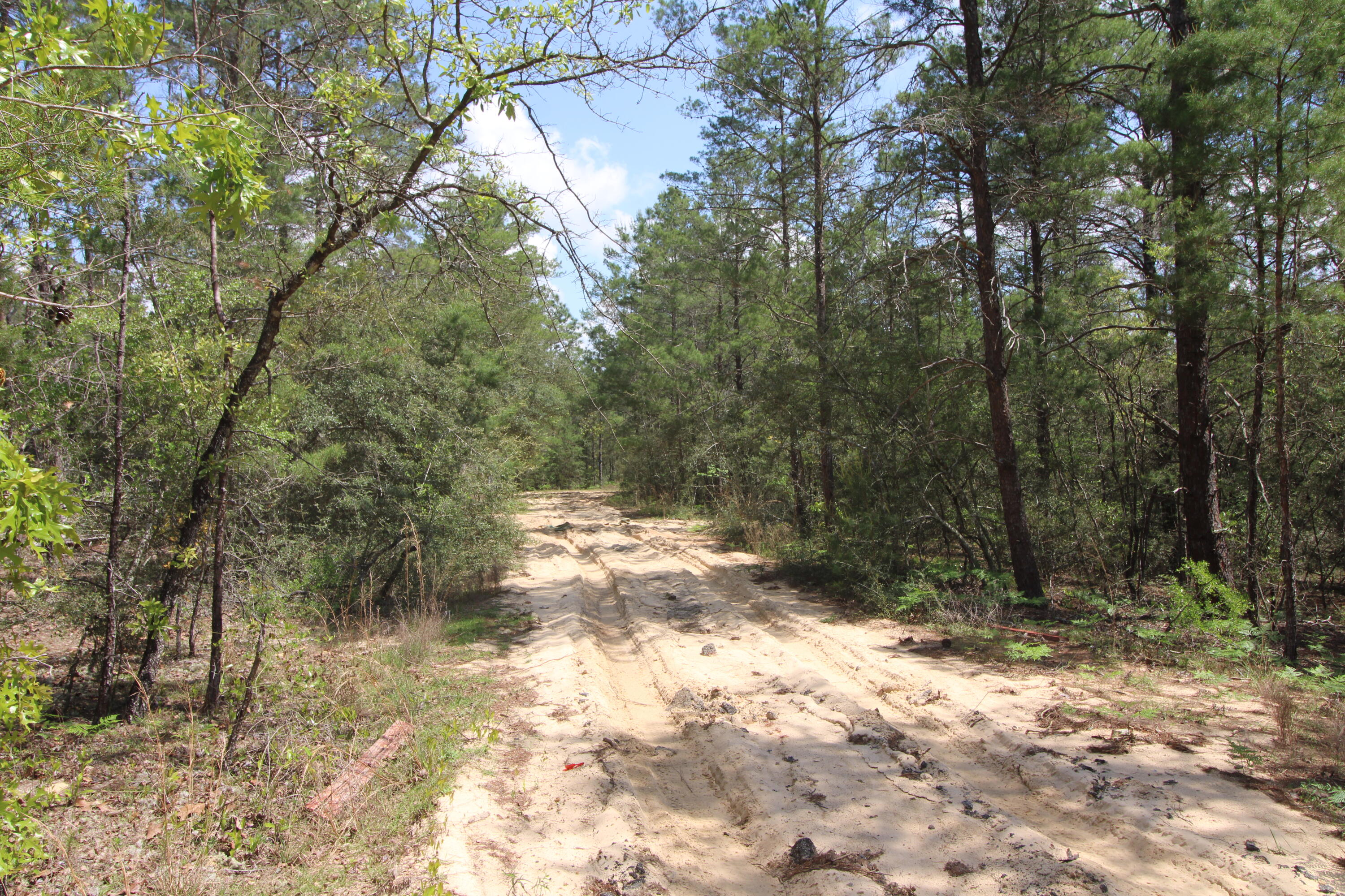 OAKWOOD HILLS - Land