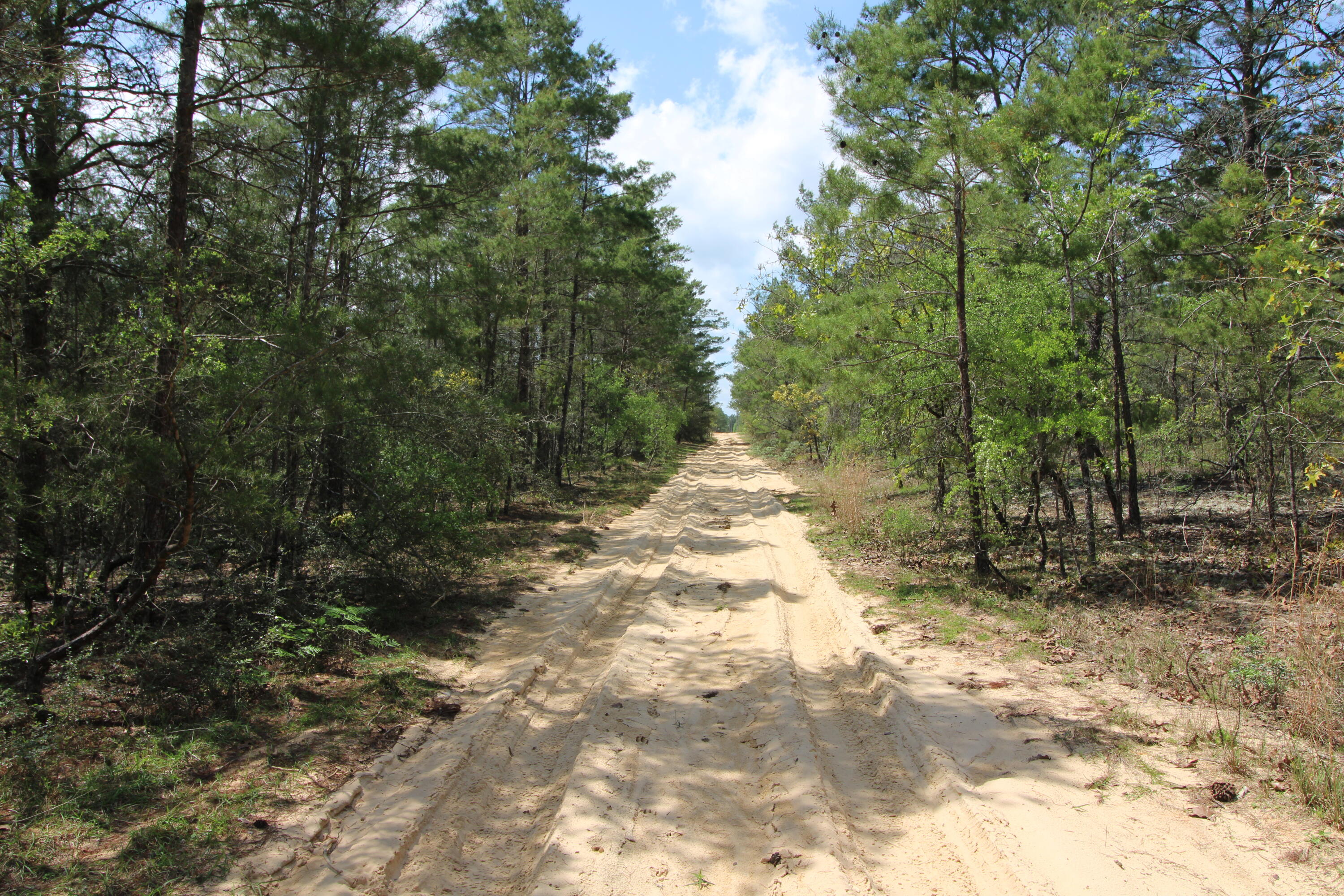 OAKWOOD HILLS - Land