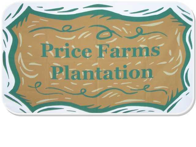 Price Farms Plantation - Land