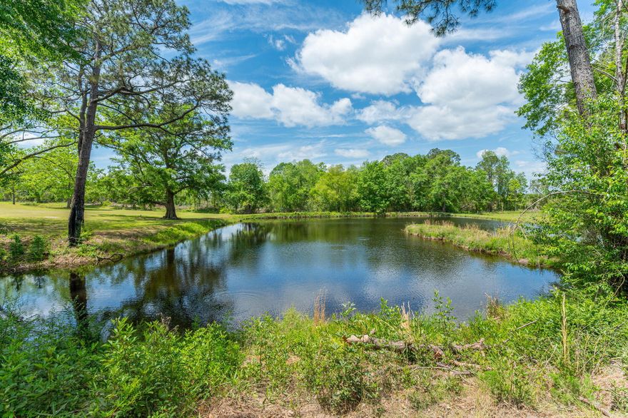 Looking for an amazing piece of property located in the country with all the things on your must have list? Here is a dream piece that offers just the right size land for all the things PLUS a pond! This beautiful 14.9 acre property has pasture crossed fenced for livestock, an abundance of pecan trees, barns for storage and your own chicken coop already along with fruit trees already producing! The property is located just North of the Florida line and offers you an easy commute to Eglin AFB, the beach, as well as Crestview for work. Alabama living gives you the opportunity for lower taxes and lower insurance with the affordability of owning your own farm to rest, relax, and escape the everyday noise!  Property includes a 4BR/2BA mobile that comes with a new HVAC at closing.