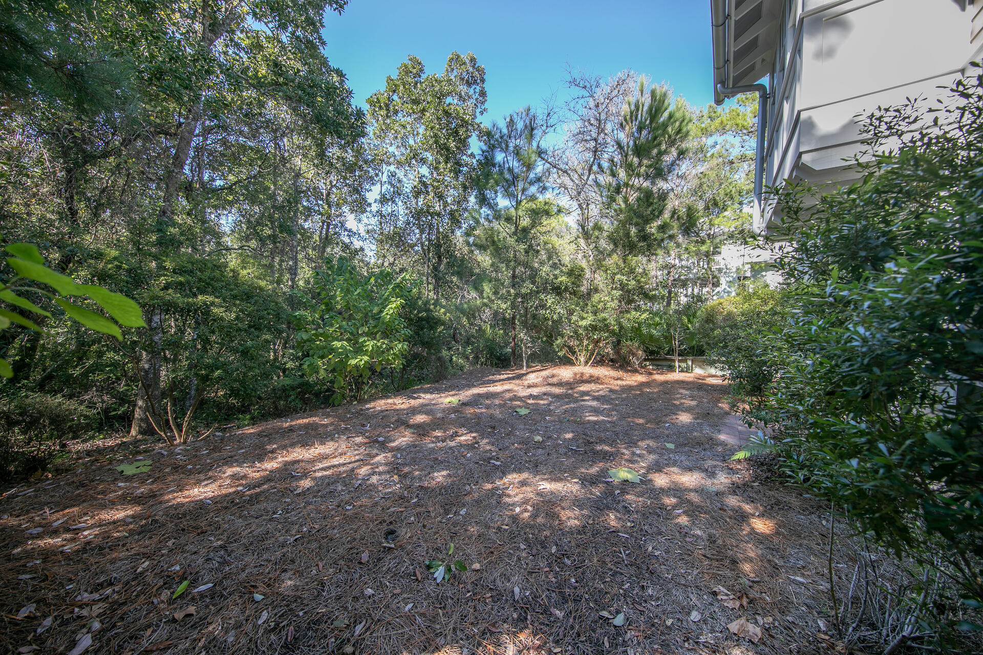 FOREST LAKES PH III - Residential