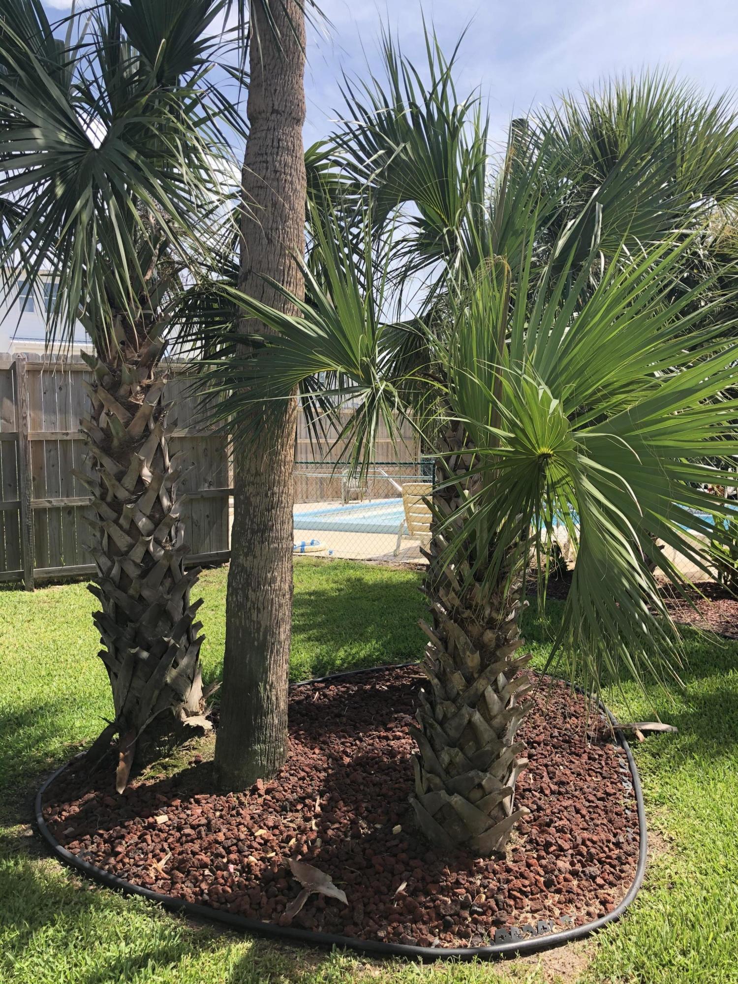 SURFSONG CONDO OF DESTIN - Residential